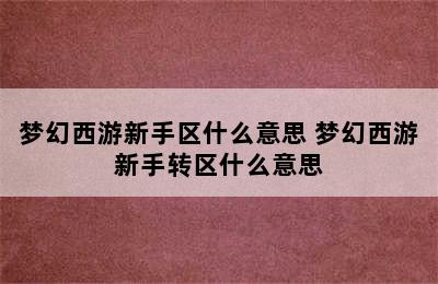 梦幻西游新手区什么意思 梦幻西游新手转区什么意思